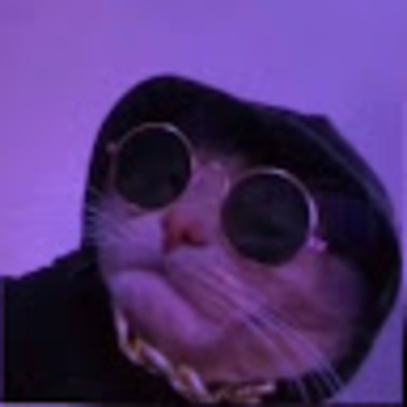 hambugs